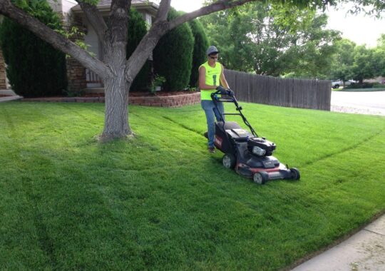 Lawn Service-Corpus Christi TX Landscape Designs & Outdoor Living Areas-We offer Landscape Design, Outdoor Patios & Pergolas, Outdoor Living Spaces, Stonescapes, Residential & Commercial Landscaping, Irrigation Installation & Repairs, Drainage Systems, Landscape Lighting, Outdoor Living Spaces, Tree Service, Lawn Service, and more.